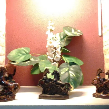 Гостевой дом Pensao Residencial Flor Dos Cavaleiros 2*